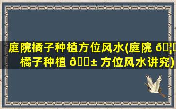 庭院橘子种植方位风水(庭院 🦁 橘子种植 🐱 方位风水讲究)